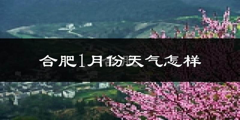 合肥市1月份天气如何?很冷吗?