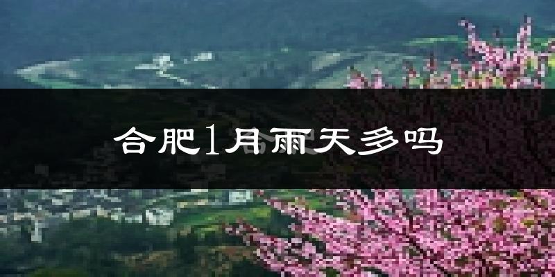 合肥1月雨天多吗?
