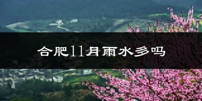 合肥11月雨水多吗?