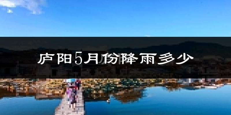 庐阳5月份降雨多少?