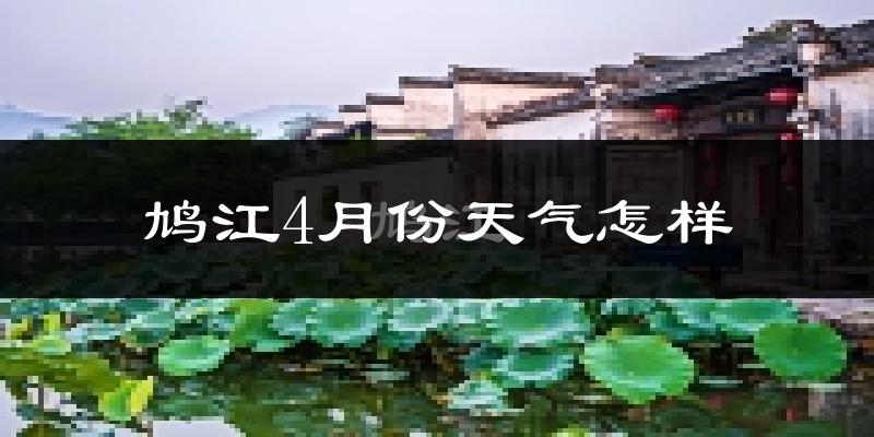 鸠江4月份天气怎样?鸠江四月冷不冷?