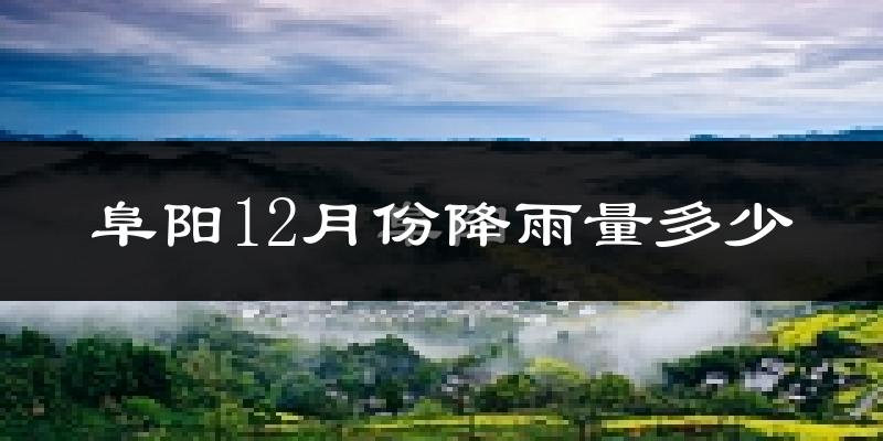 阜阳12月份降雨量多少?阜阳十二月下雨多吗?