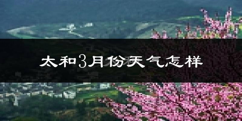 太和县3月份天气如何?冷热情况怎么样?