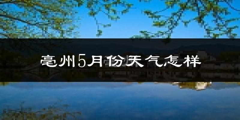 亳州5月份天气如何?很热吗?