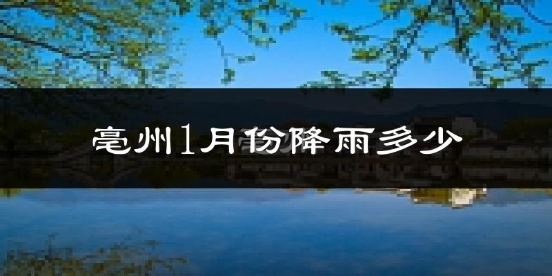 亳州1月份降雨多少?