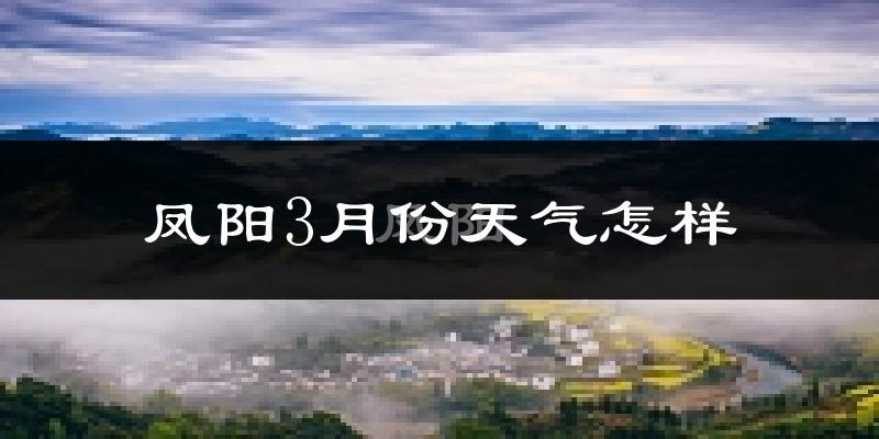 凤阳3月份天气如何?冷吗?过去两年天气数据对比分析