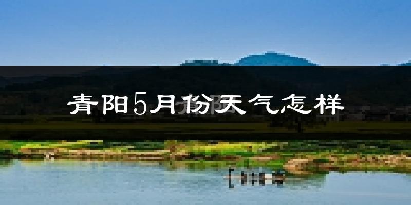 青阳县5月份天气如何?很热吗?