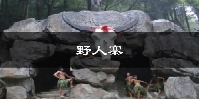 野人寨天气预报十五天