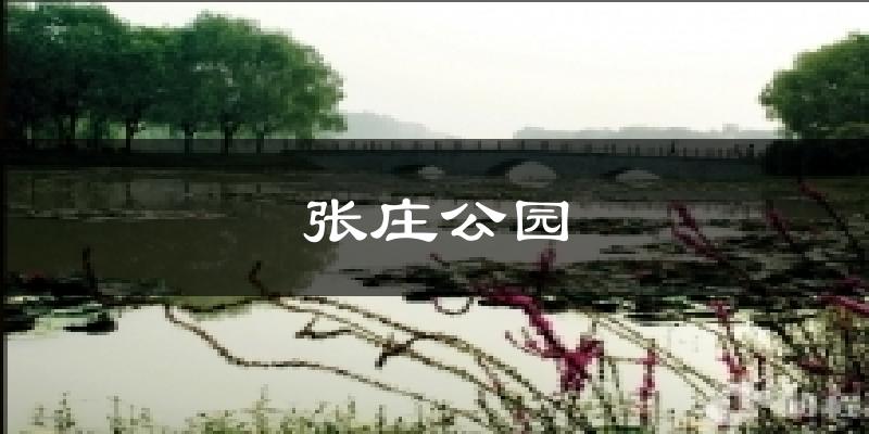 张庄公园天气预报十五天