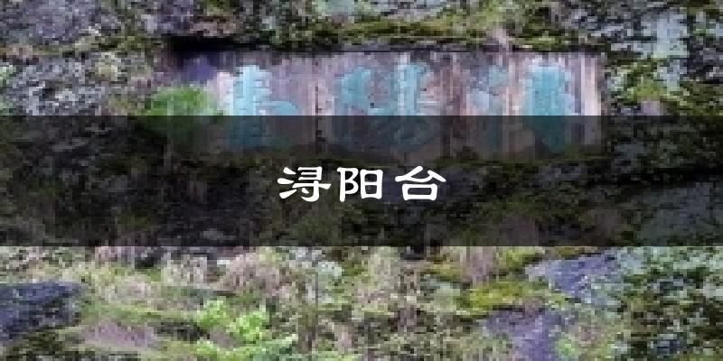 浔阳台天气预报十五天