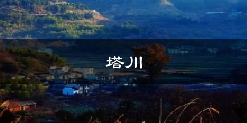 塔川天气预报十五天