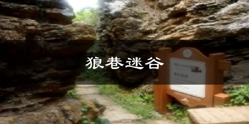 狼巷迷谷天气预报十五天
