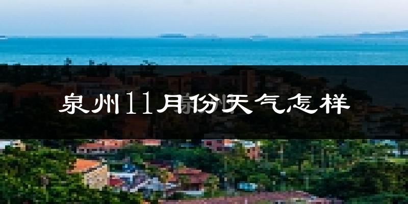 泉州11月份天气怎样?泉州十一月冷吗?