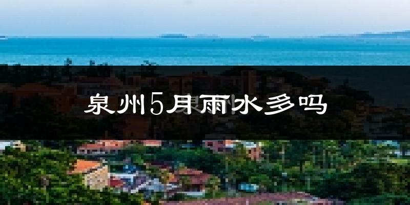 泉州5月雨水多吗?