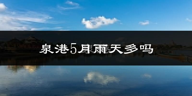 泉港5月雨天多吗?