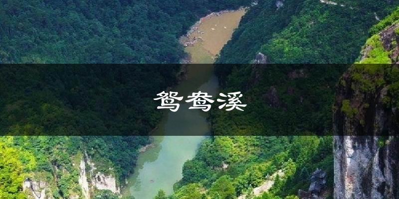 鸳鸯溪天气预报十五天