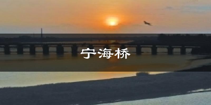 宁海桥天气预报十五天