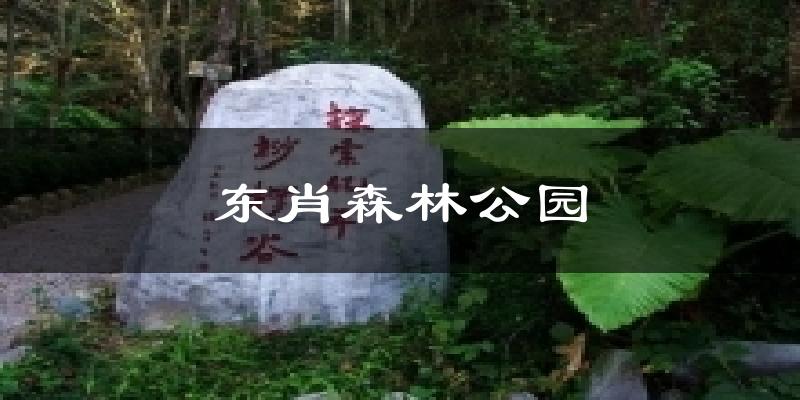 东肖森林公园天气预报十五天