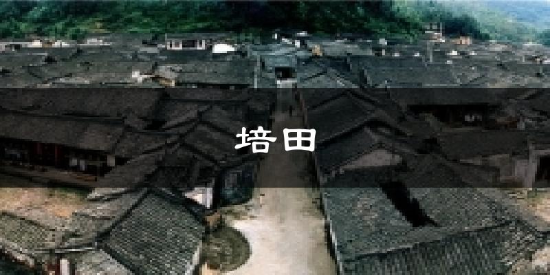 培田天气预报十五天