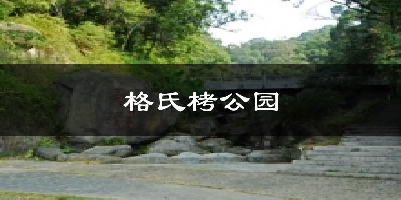 格氏栲公园天气预报十五天