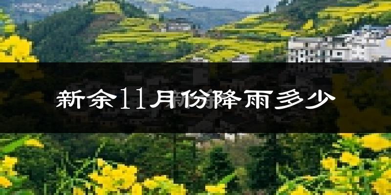 新余11月份降雨多少?