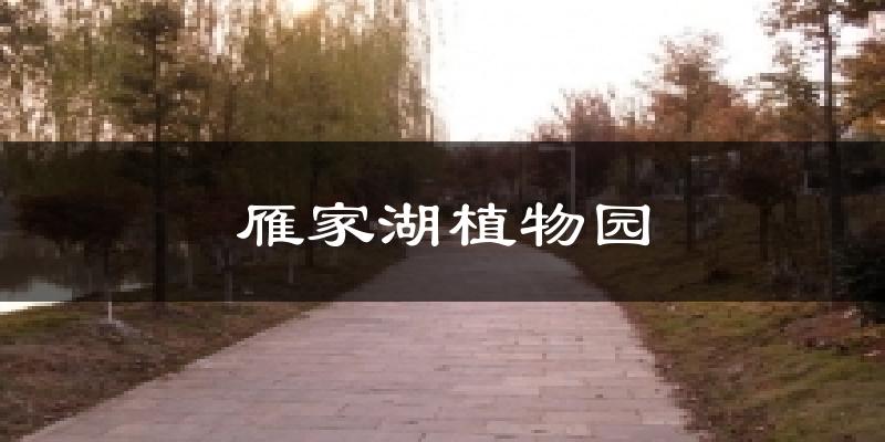 雁家湖植物园天气预报十五天