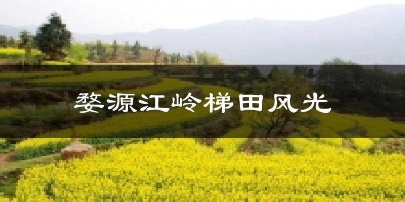 婺源江岭梯田风光天气预报十五天
