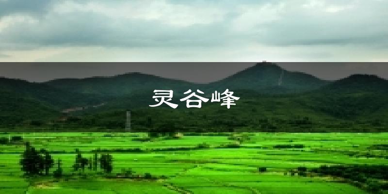 灵谷峰天气预报十五天