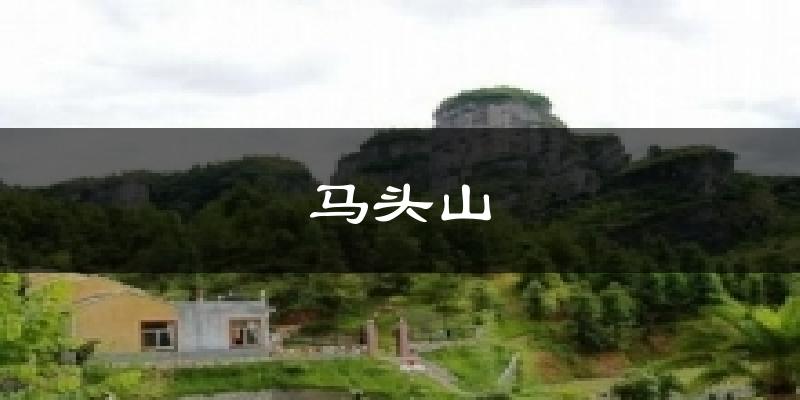 马头山天气预报十五天