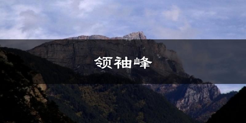 领袖峰天气预报十五天
