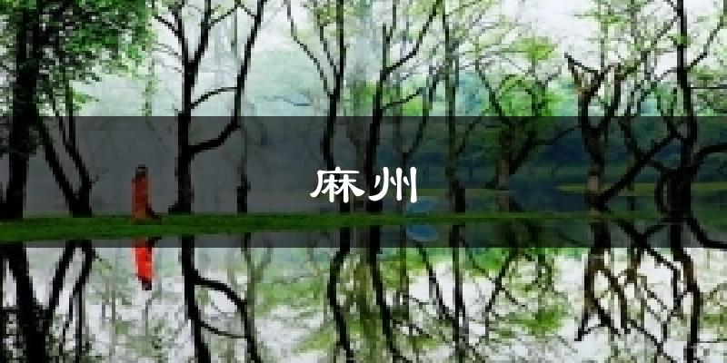麻州天气预报十五天