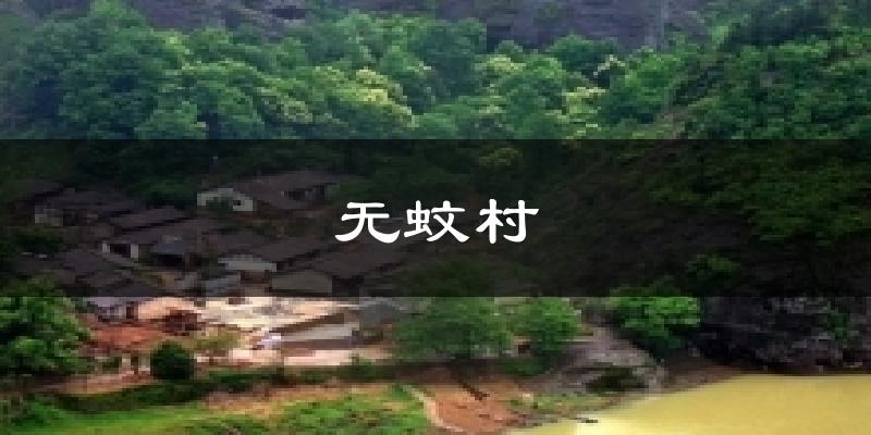 无蚊村天气预报十五天