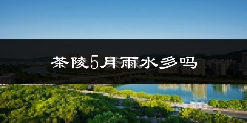 茶陵5月雨水多吗?