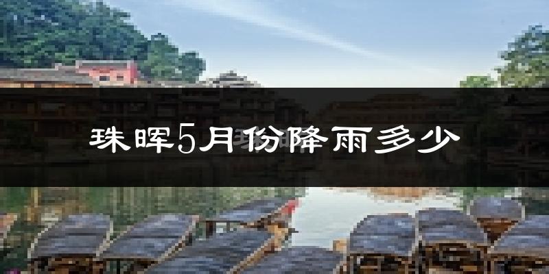 珠晖5月份降雨多少?