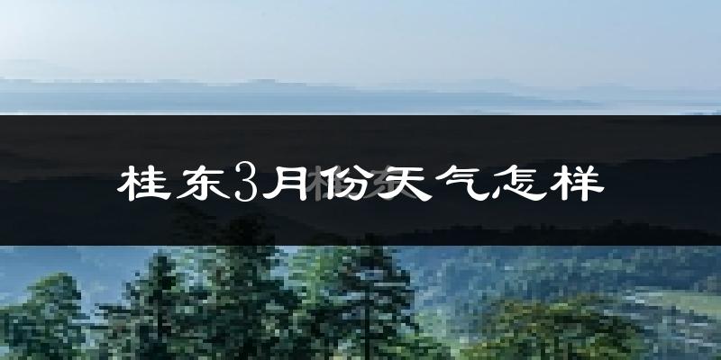 桂东县3月份天气如何?冷吗?
