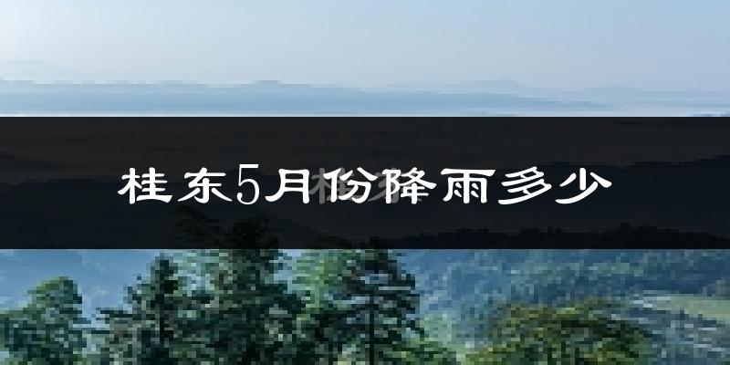 桂东5月份降雨多少?