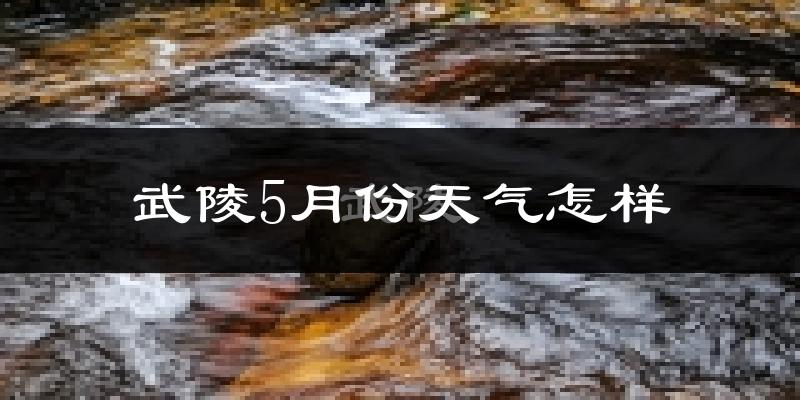 武陵5月份天气怎样?武陵五月冷不冷?