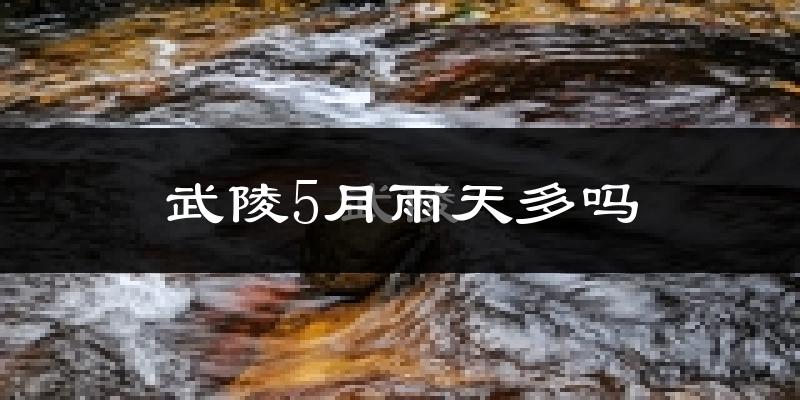 武陵5月雨天多吗?