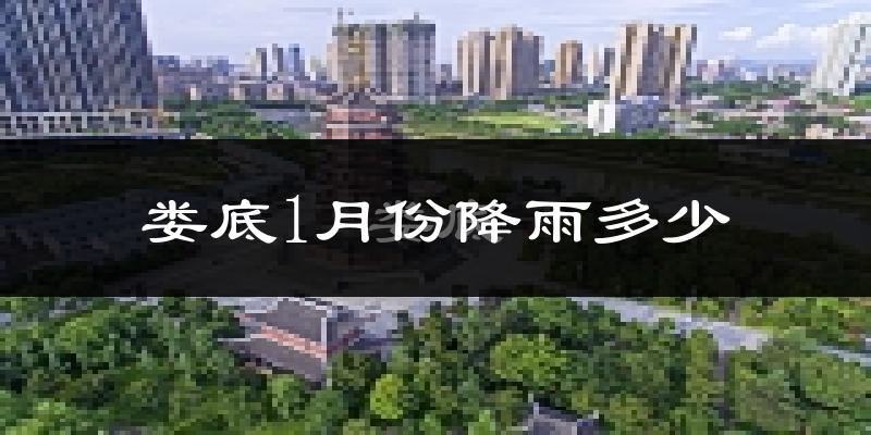 娄底1月份降雨多少?