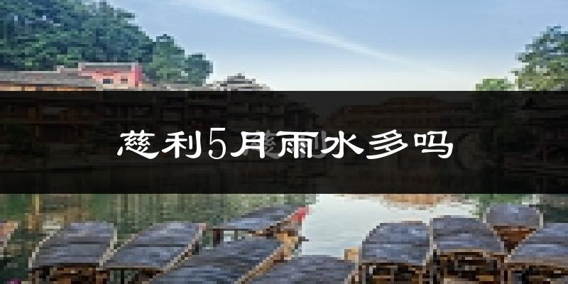 慈利5月雨水多吗?