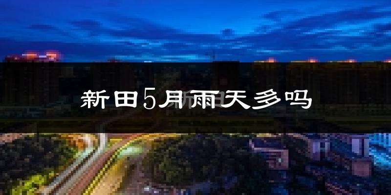 新田5月雨天多吗?