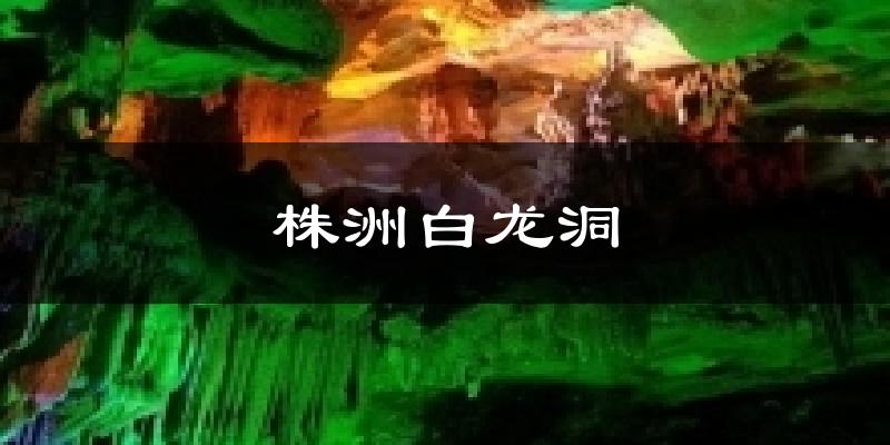 株洲白龙洞天气预报十五天