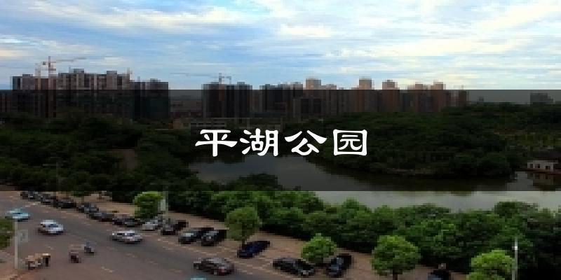 平湖公园天气预报十五天