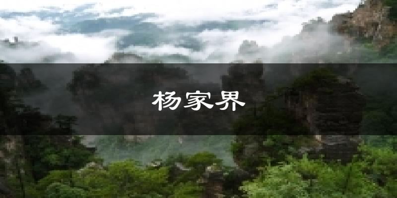 杨家界天气预报十五天
