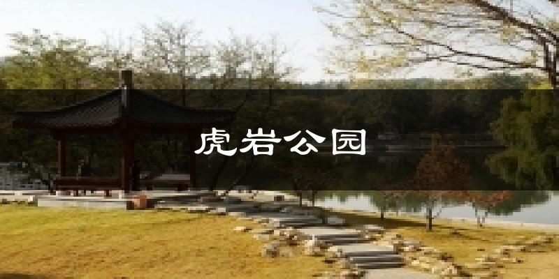 虎岩公园天气预报十五天