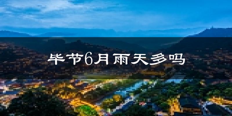 毕节6月雨天多吗?