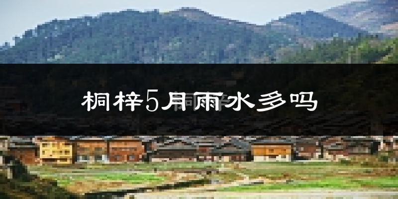 桐梓5月雨水多吗?
