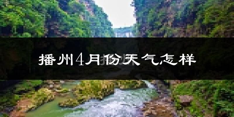 播州4月份天气怎样?播州四月冷吗?