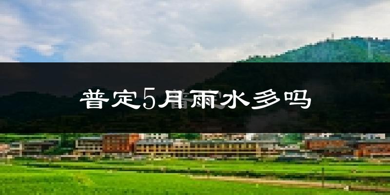 普定5月雨水多吗?