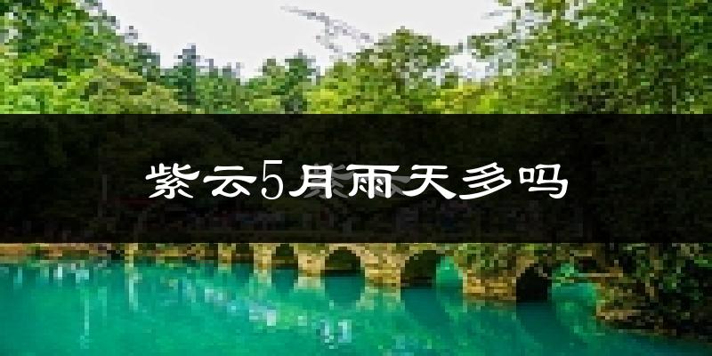 紫云5月雨天多吗?
